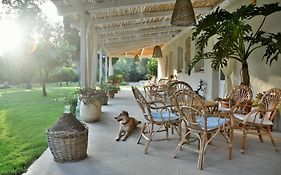 B&B Giallo Limone